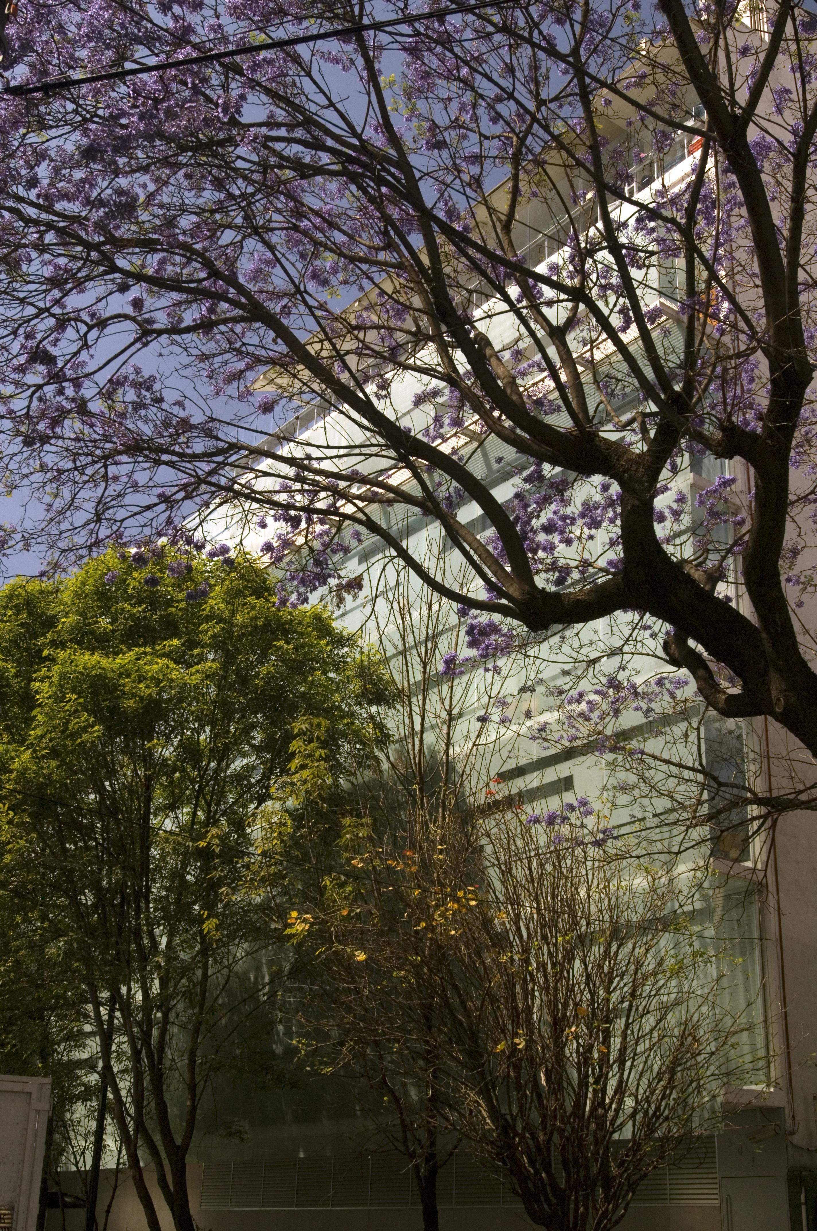 Habita, Mexico City, A Member Of Design Hotels מראה חיצוני תמונה
